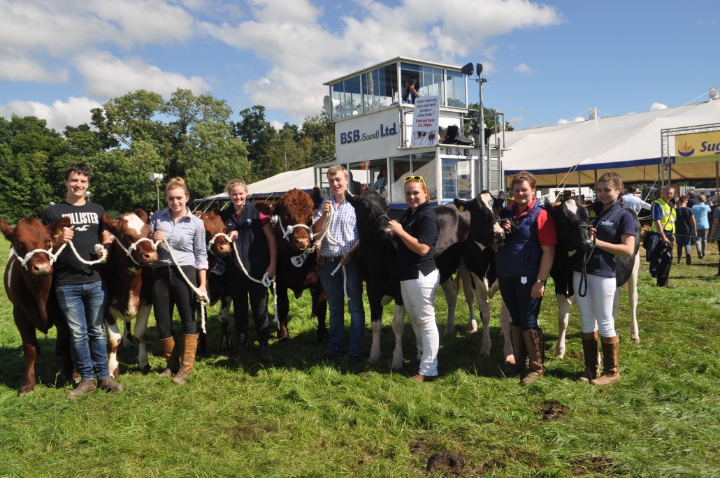 Nantwich Show success for student cattle exhibitors Reaseheath College
