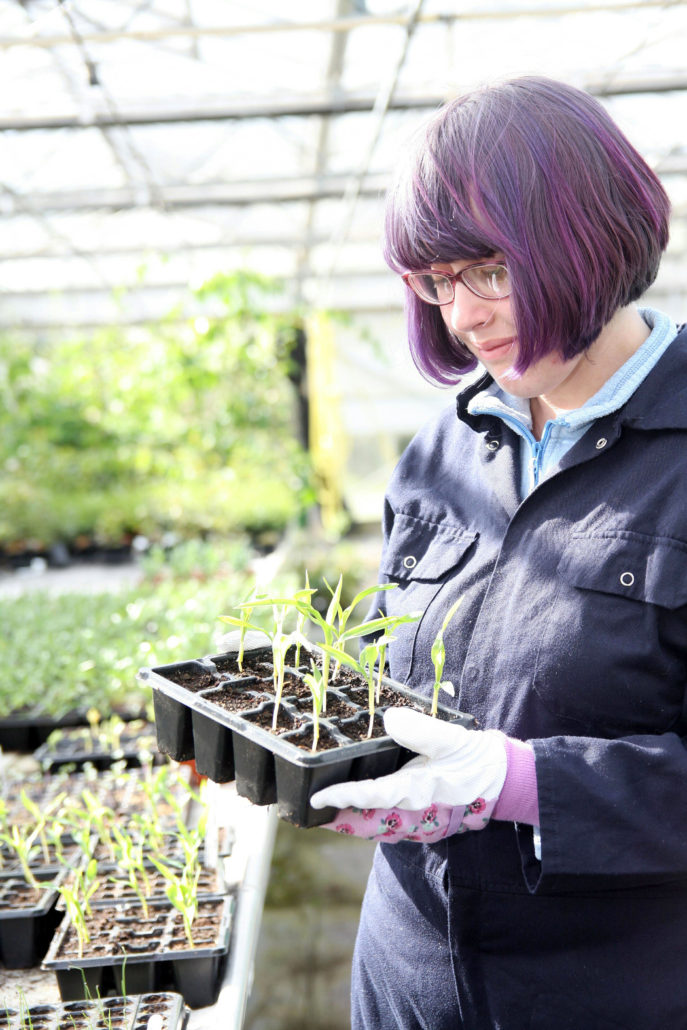 Industry placements for students Reaseheath College