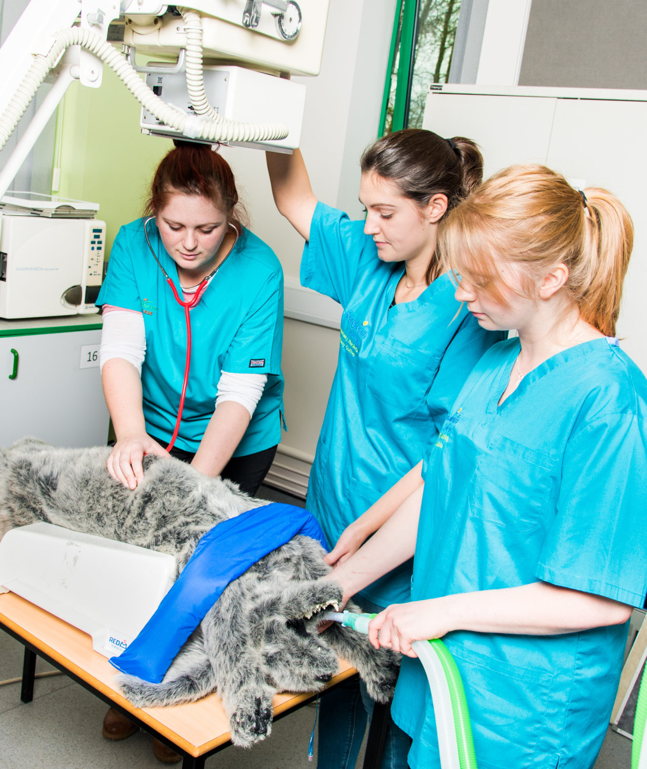 Vet Nursing Dec 17 (3) Reaseheath College