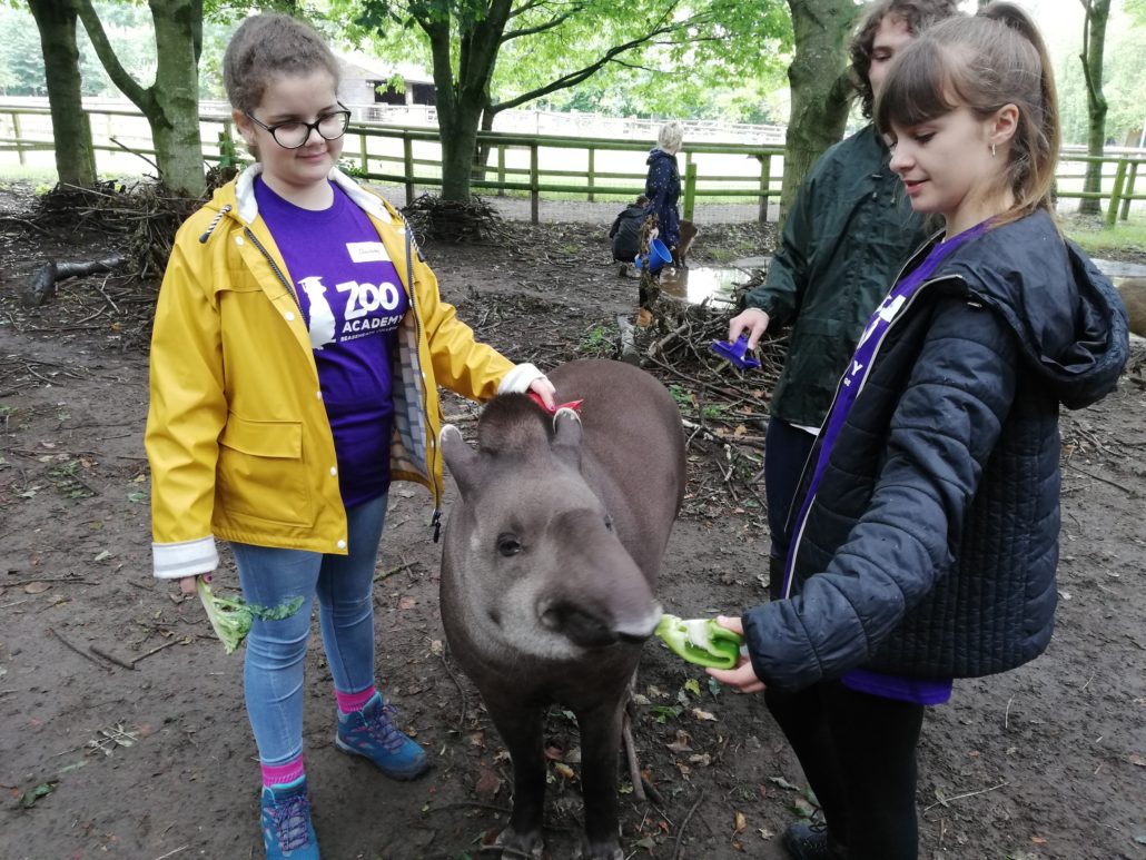 Zoo Academy Reaseheath College