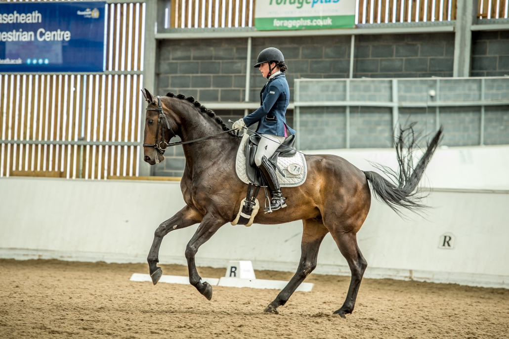 Dressage 1 Reaseheath College