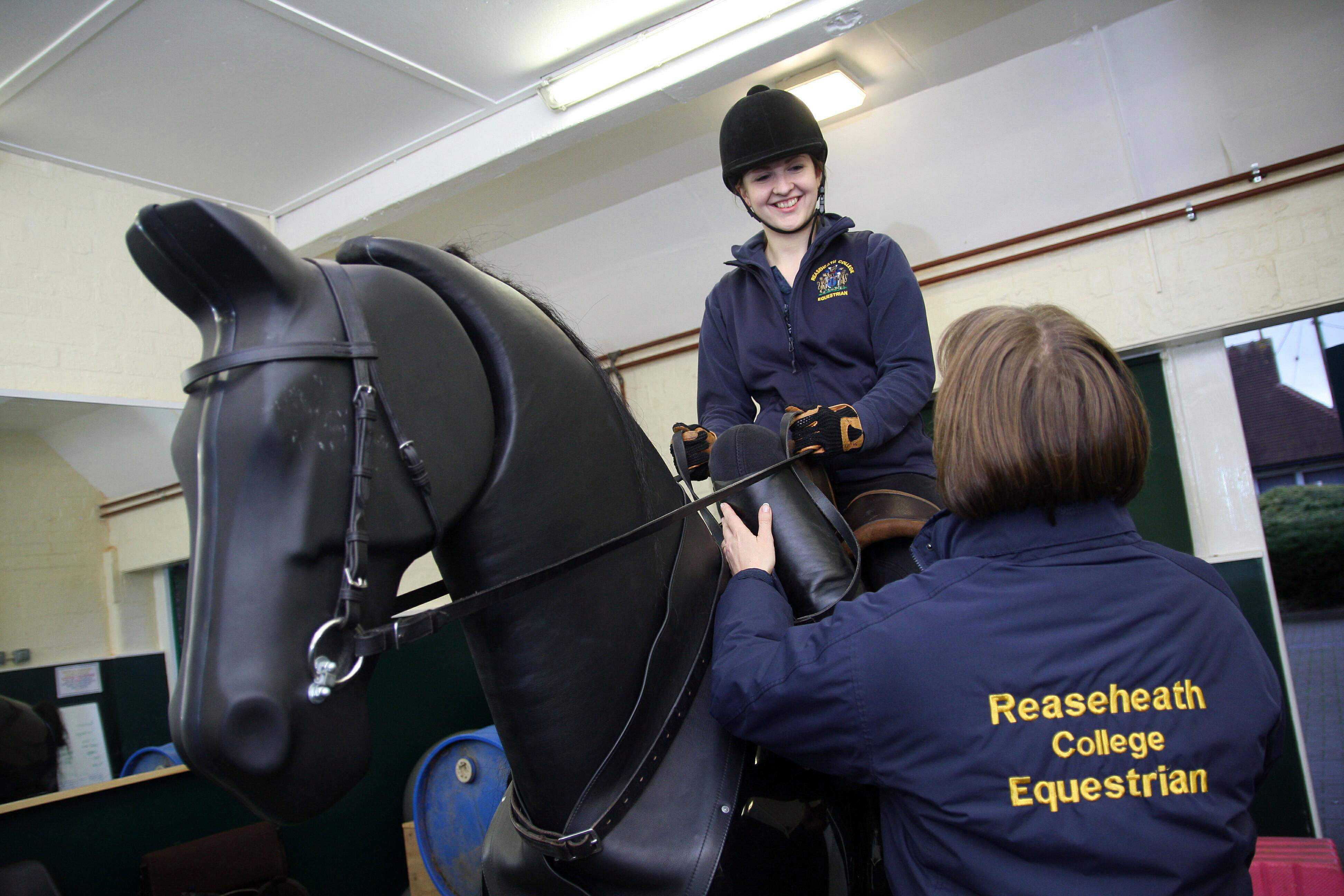 Equinedegreesmechanicalhorse Reaseheath College