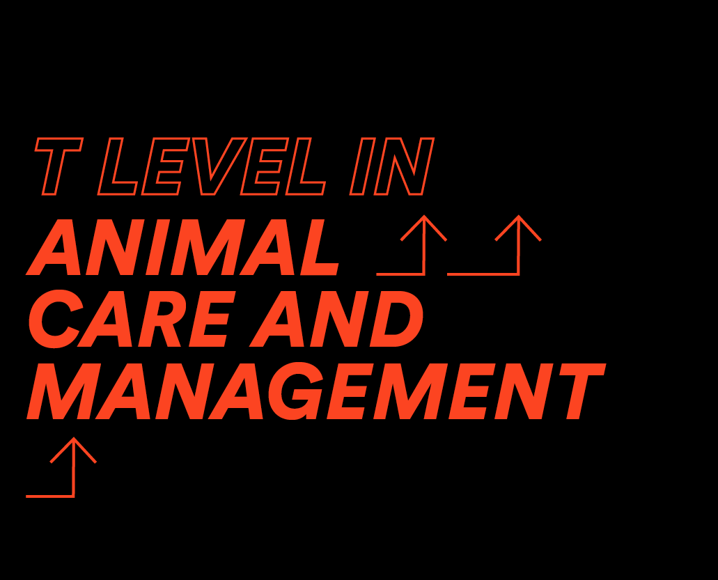 Animal Care Reaseheath College