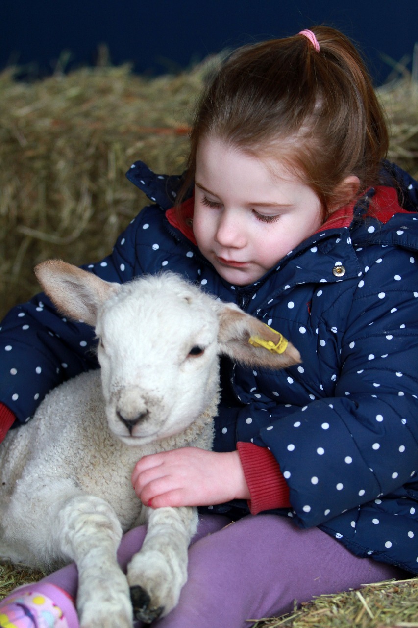 Sienna aged 4 with lamb Reaseheath College