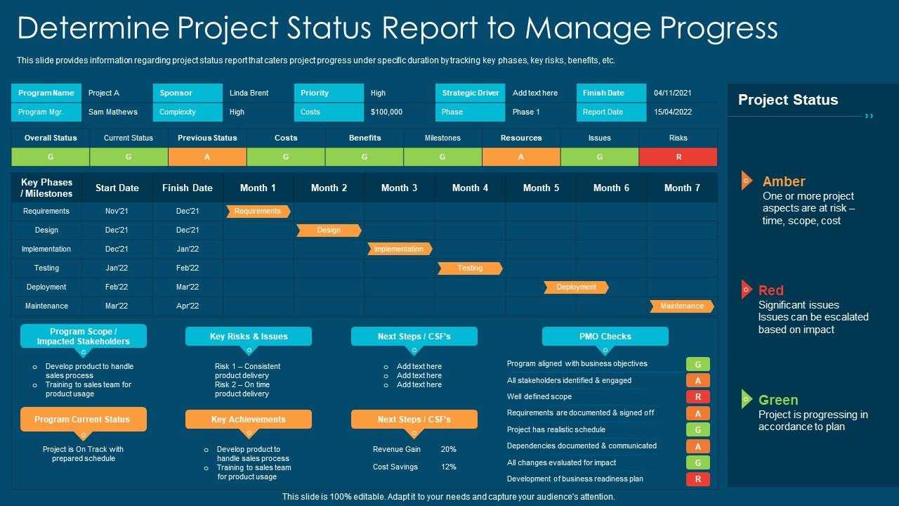 Project Manager Status Report Template