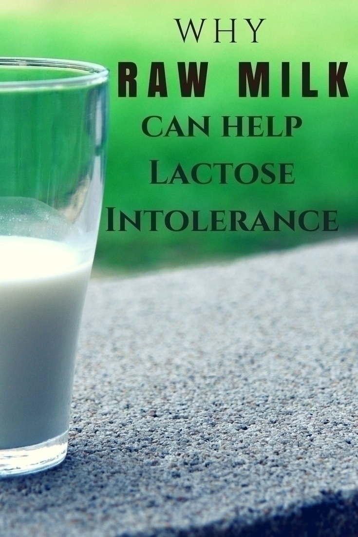 Why Raw Milk can Help with Lactose Intolerance