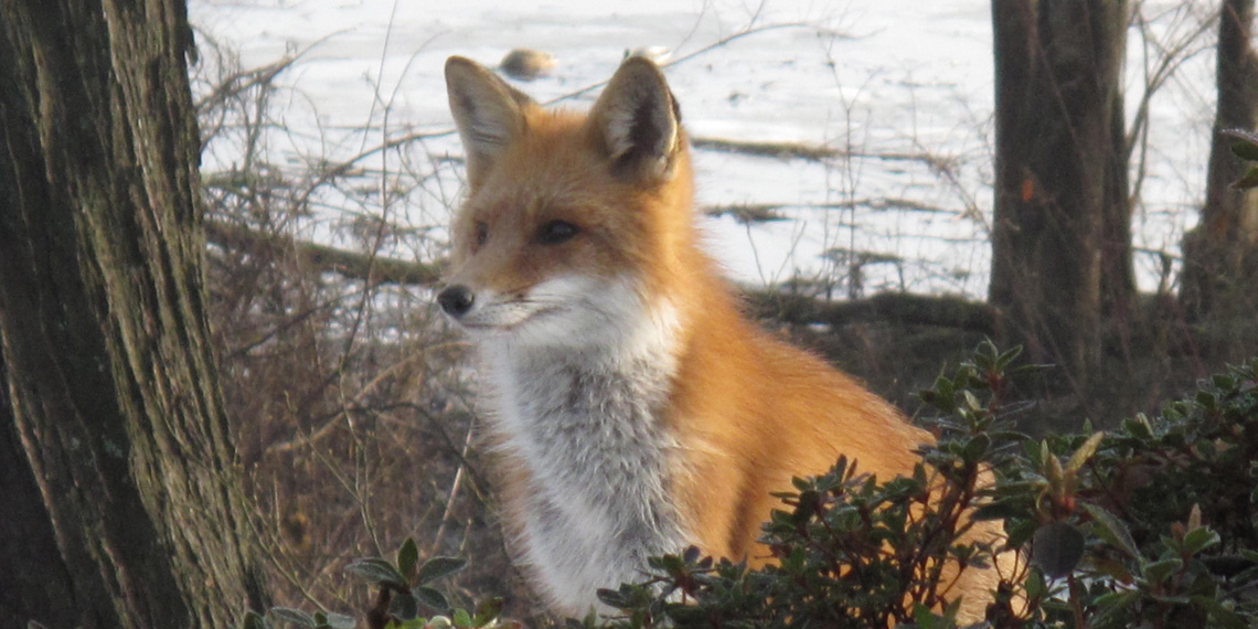 Riverside Estates Civic Association