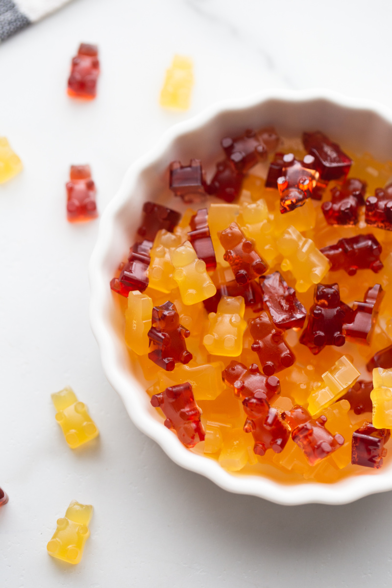 Homemade Gummy Bears Recipe Boy