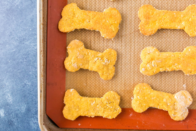 Sweet Potato Dog Biscuits Recipe Boy