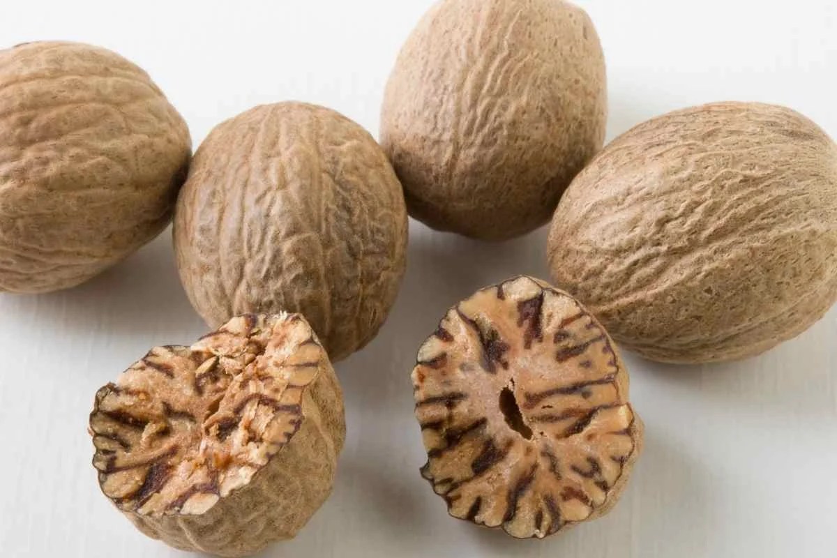 Nutmeg Benefits, Usage, And Nutrition RecipeMagik