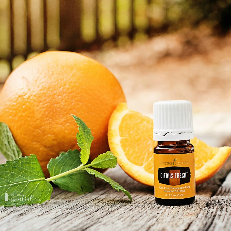 30 Ways to Use Your Young Living Premium Starter Bundle Recipes with