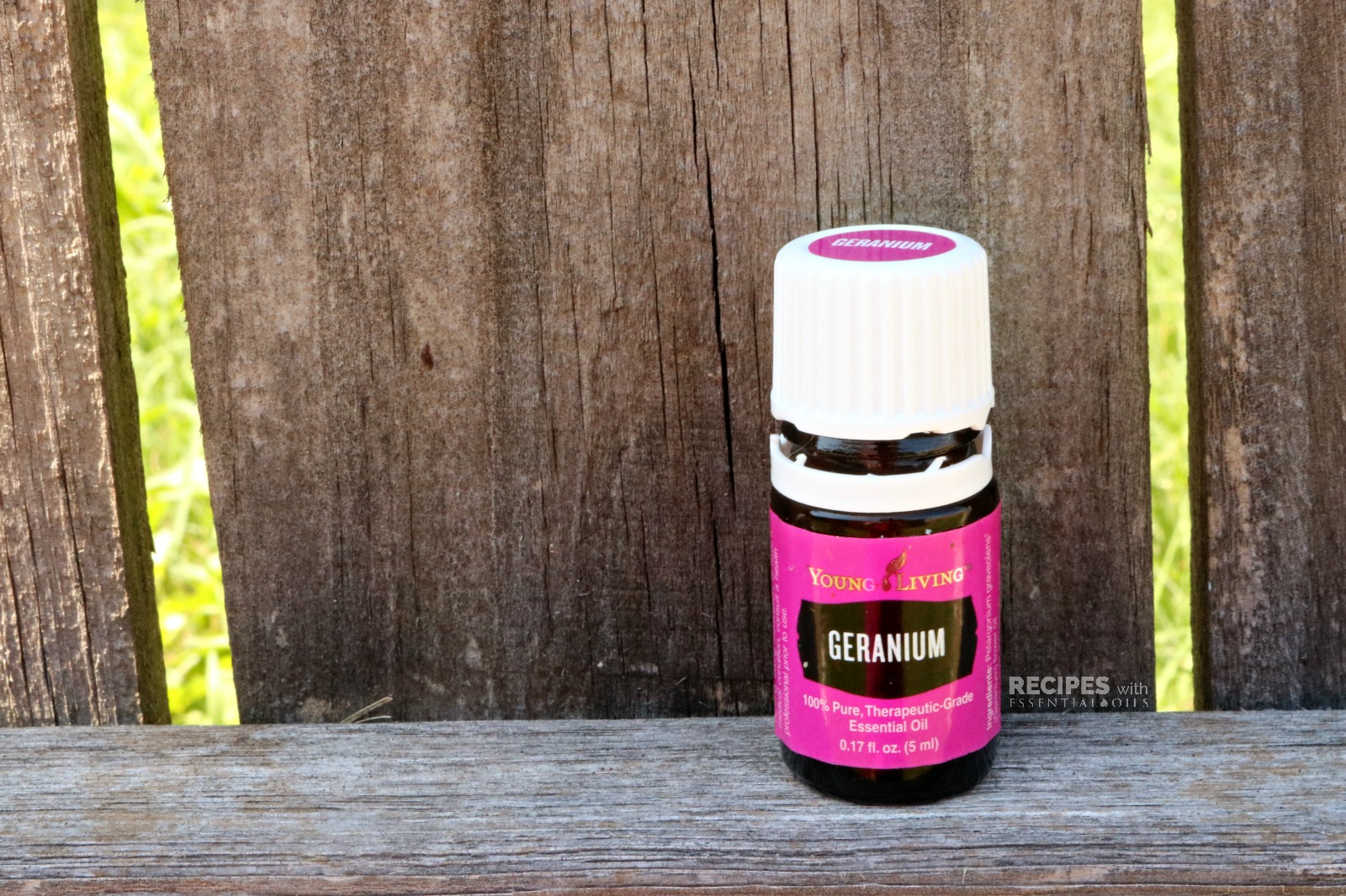All About Geranium Essential Oil Recipes with Essential Oils