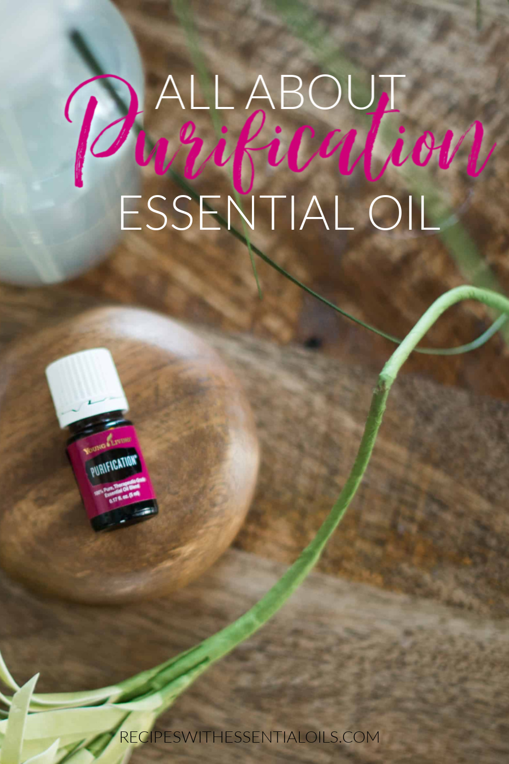 All About Purification Essential Oil Blend Recipes with Essential Oils