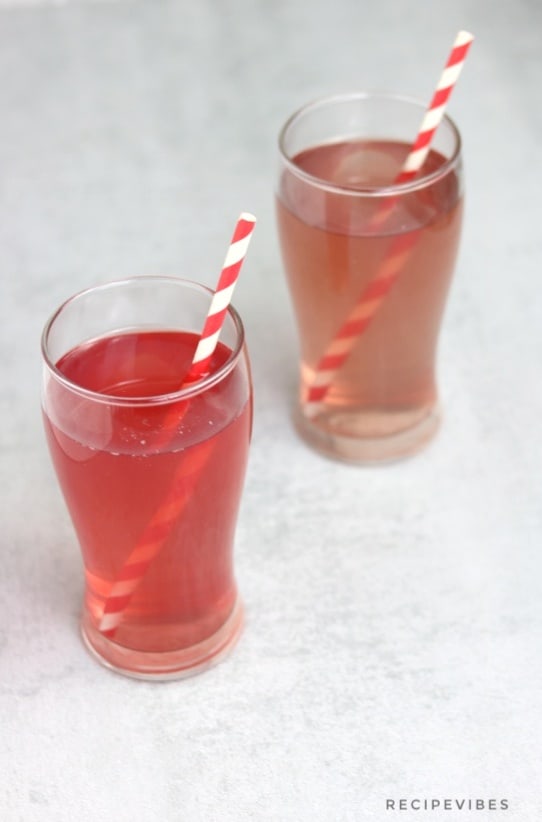 Instant Pot Infused Water Recipe Vibes