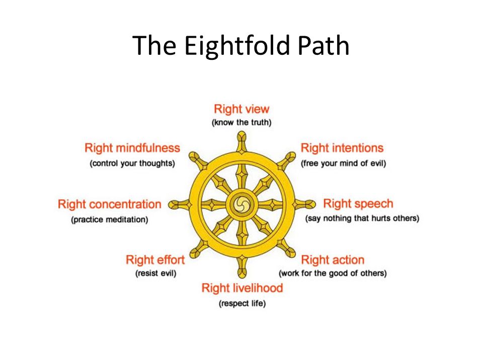 14 amazing Facts You Should Know About Buddhism Reckon Talk