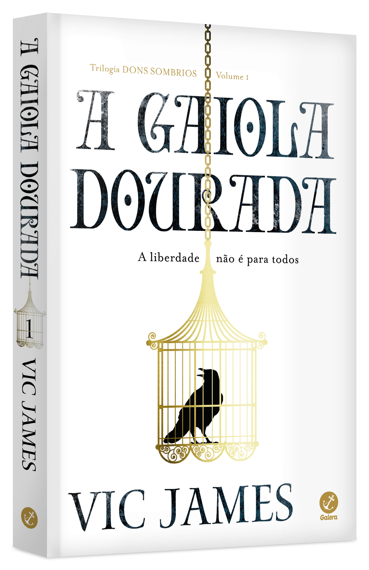 A gaiola dourada Grupo Editorial Record