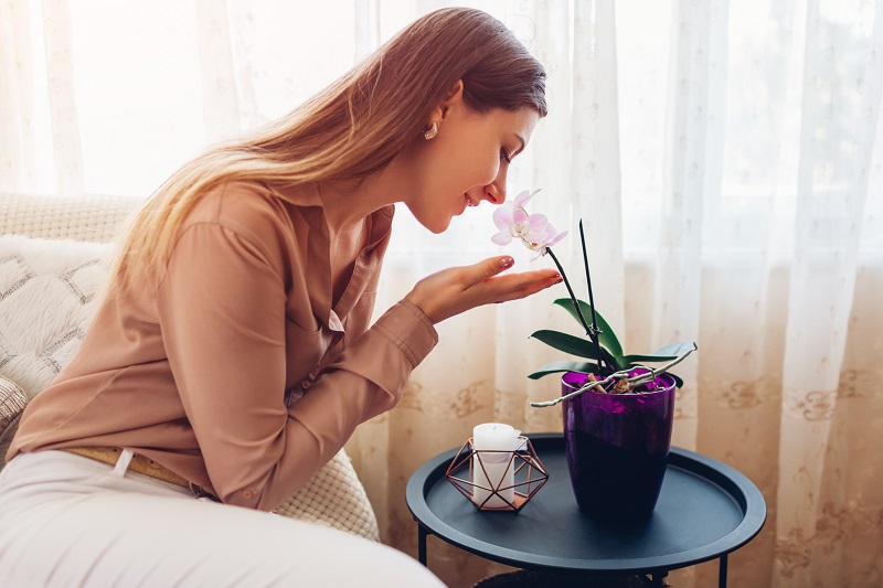 3 Ways to Make Your Home Smell Good Recovering The Self