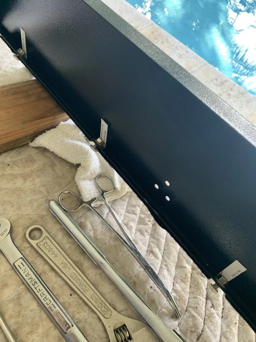 Bull Peeling paint Rec Teq Pellet Grill Forum