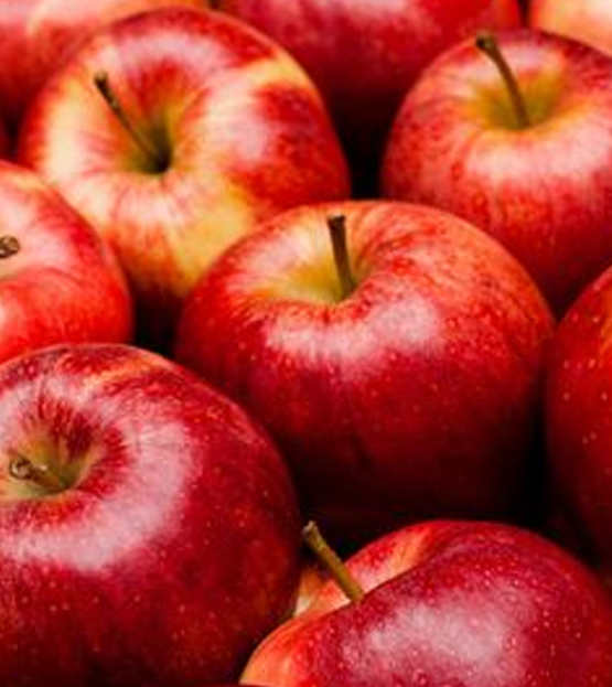 The best apples in RED APPLE STAYS