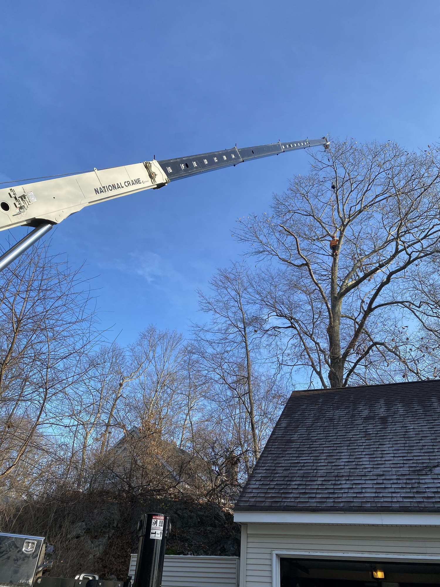 Prospect, CT Affordable Tree Removal Contractor Near Me