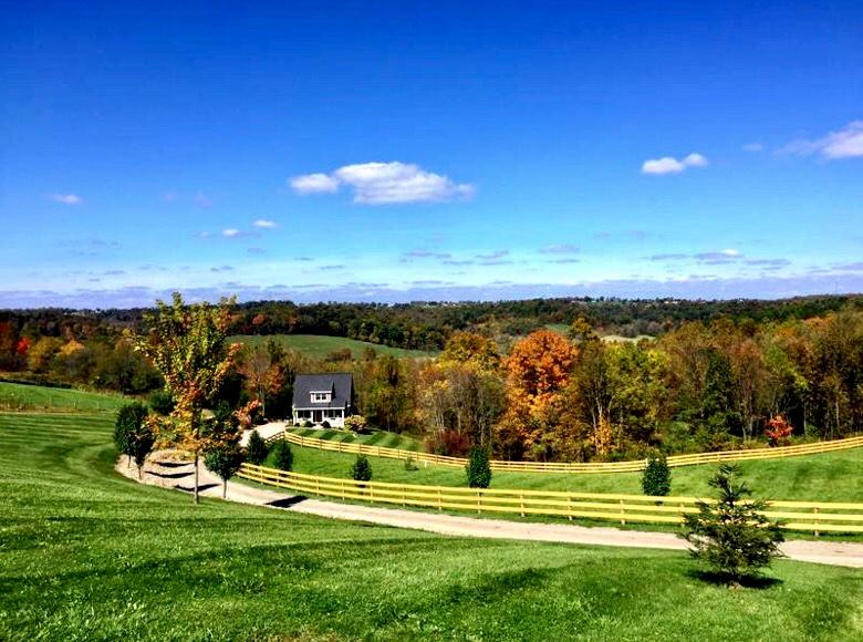 to Red Cottage Hideaway Woodland Cottage Romantice cabin in