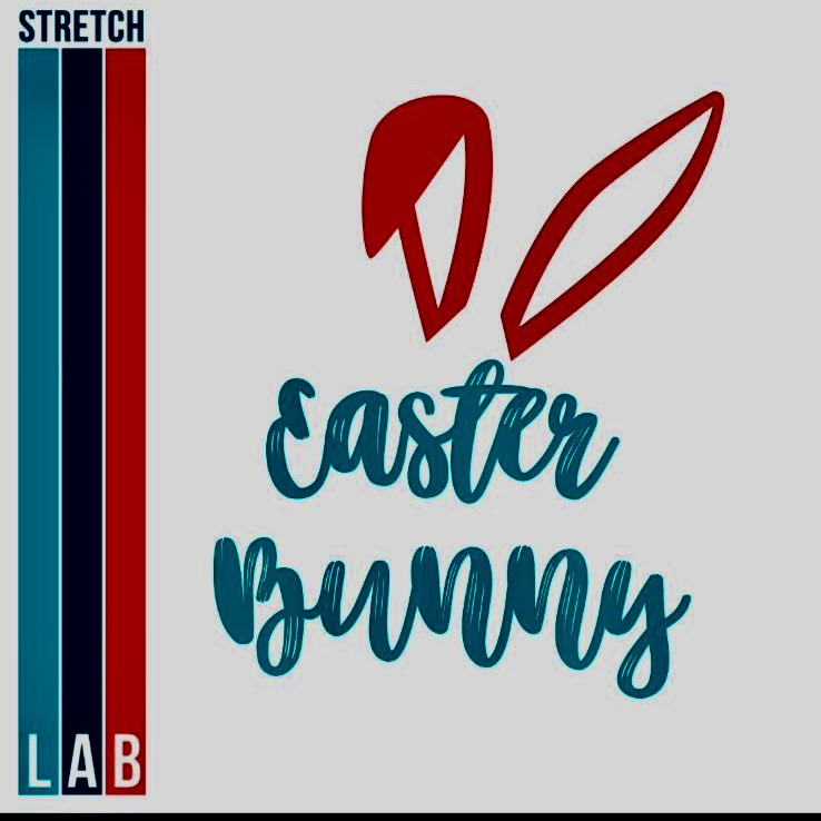 FREE Demo Stretch at StretchLab Things to do at Summit Fair