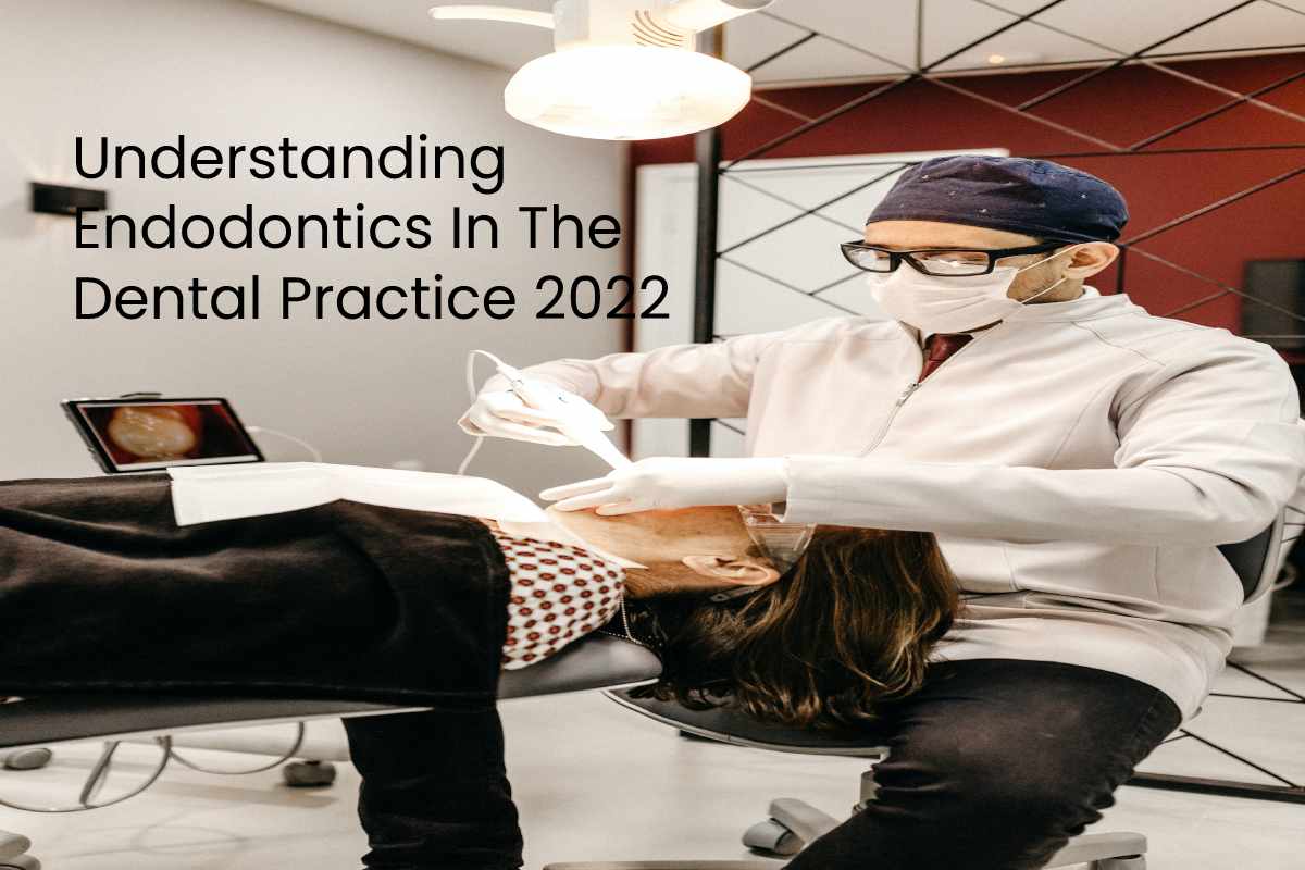 Understanding Endodontics In The Dental Practice 2022