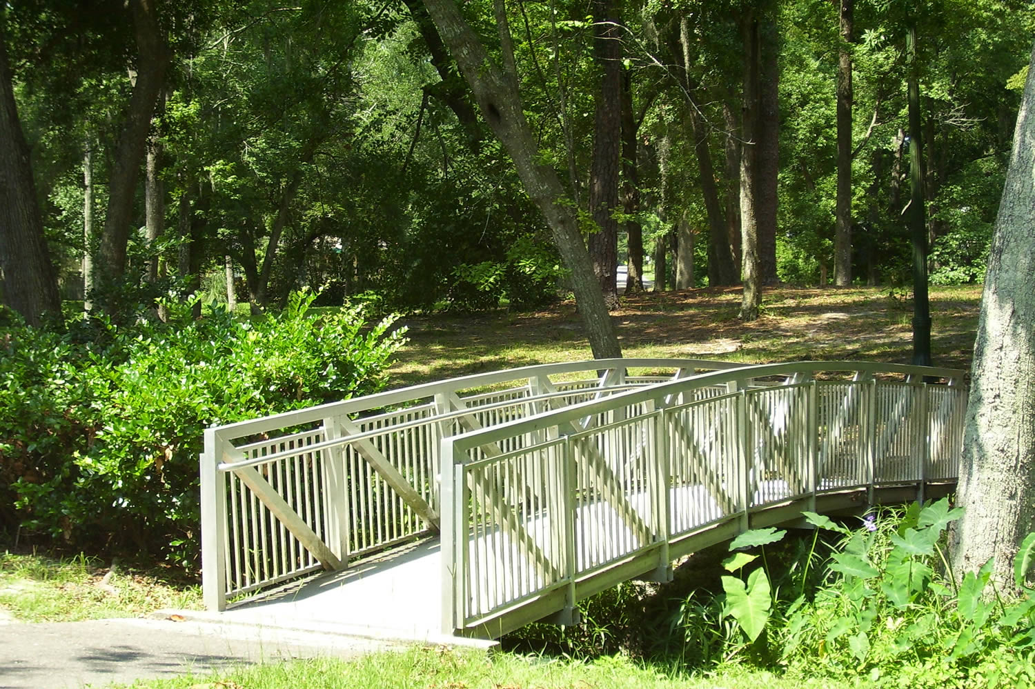 Aluminum Pedestrian Bridges REDD Team
