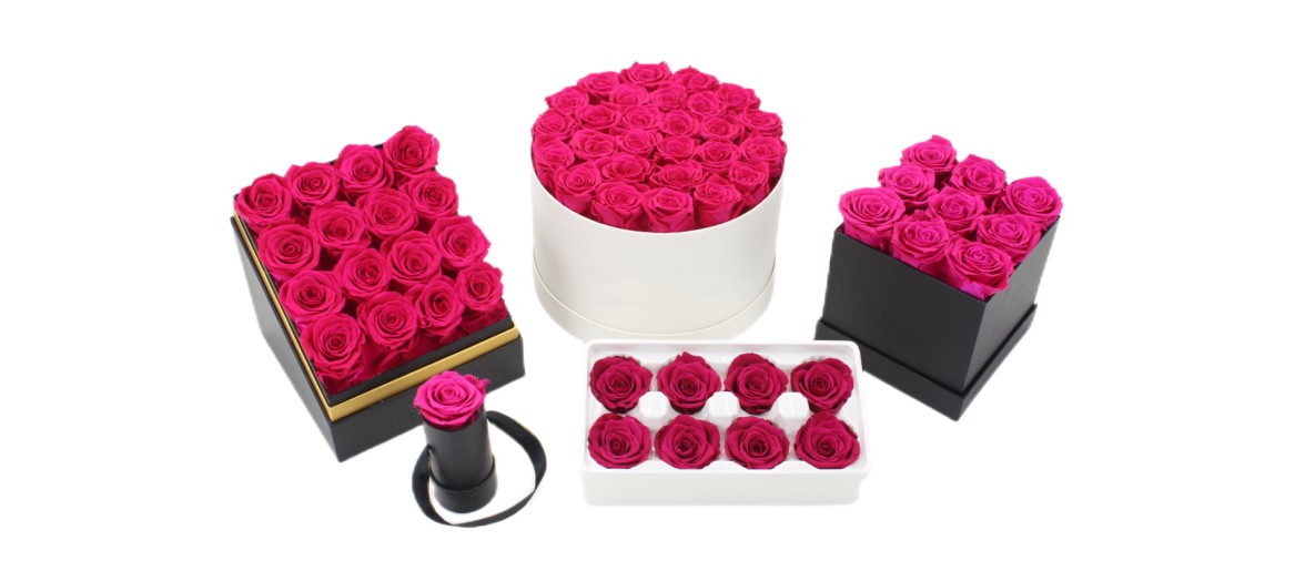Manufacturers of preserved roses & wholesale Supplier of luxury forever
