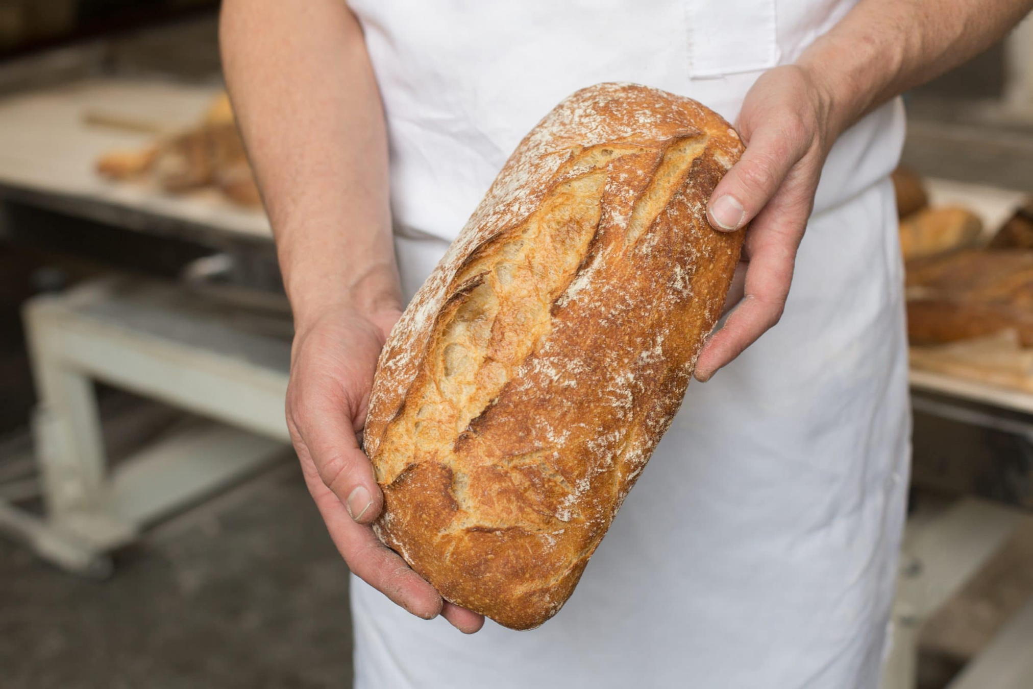 Ciabatta Red Hen Baking