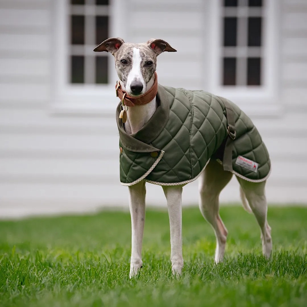 Norwich Washable Harness Hole Coat Redhound For Dogs