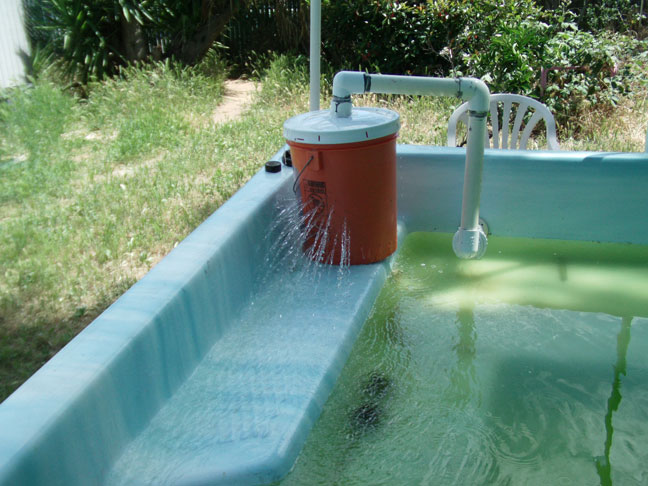 Koi Pond Filters Homemade Homemade Ftempo