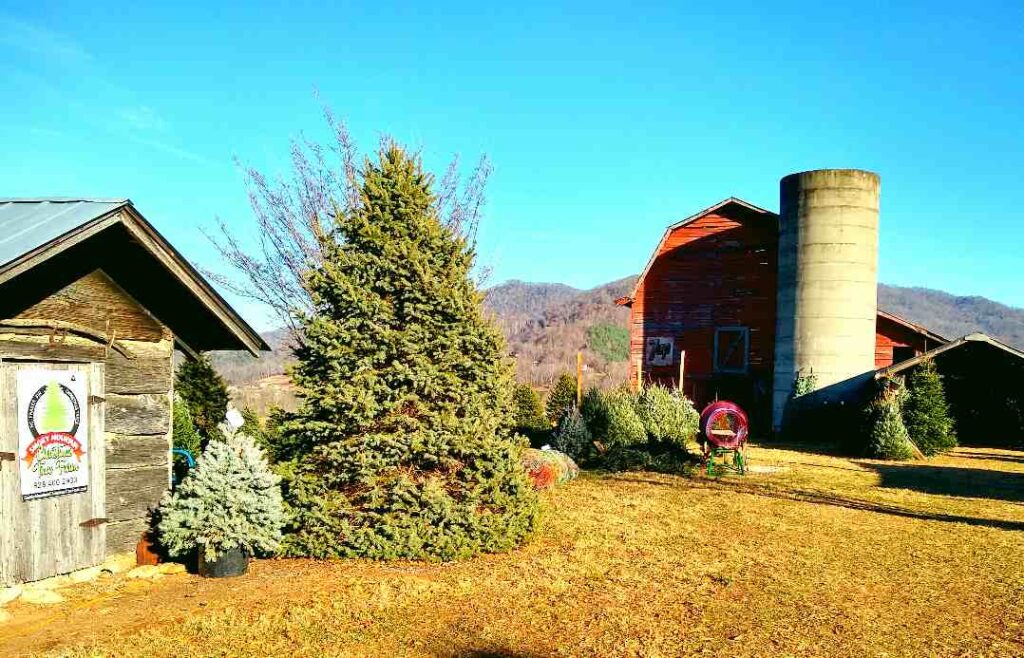 Waynesville NC Events November 2019 Red Leaf River Inn