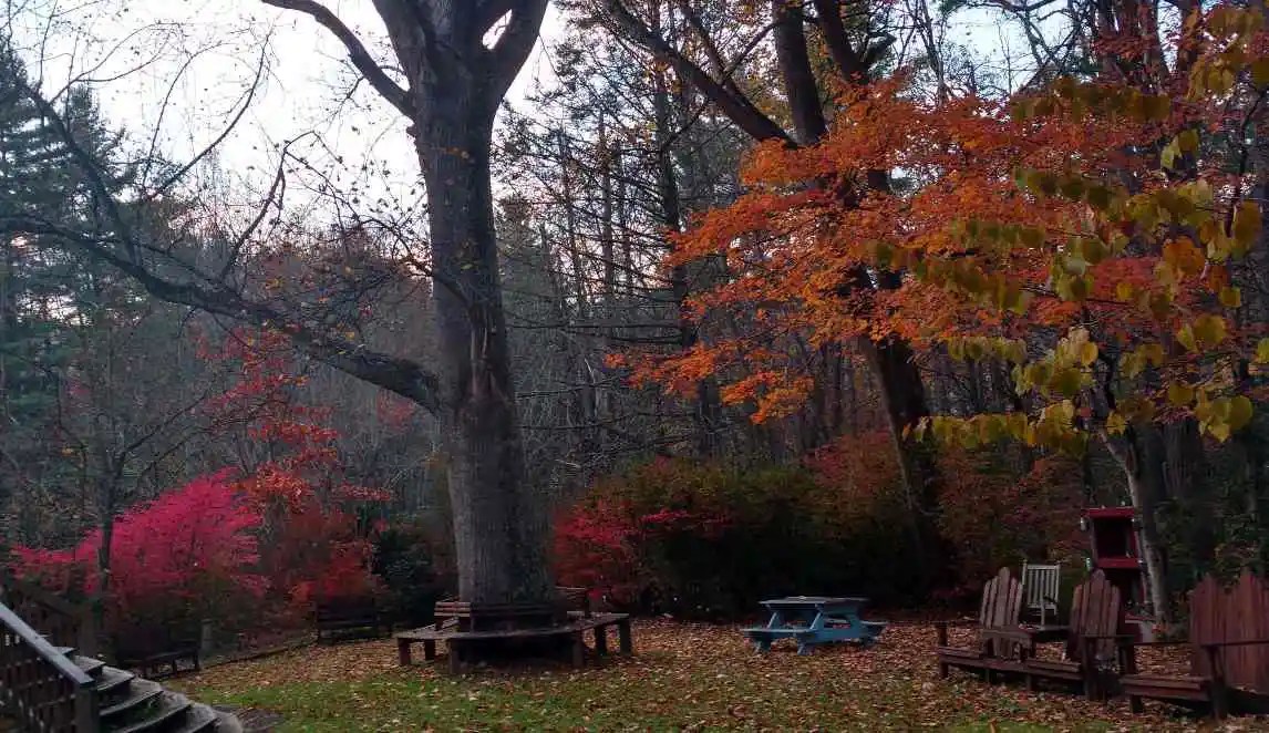 Waynesville NC Events Fall 2021 Red Leaf River Inn