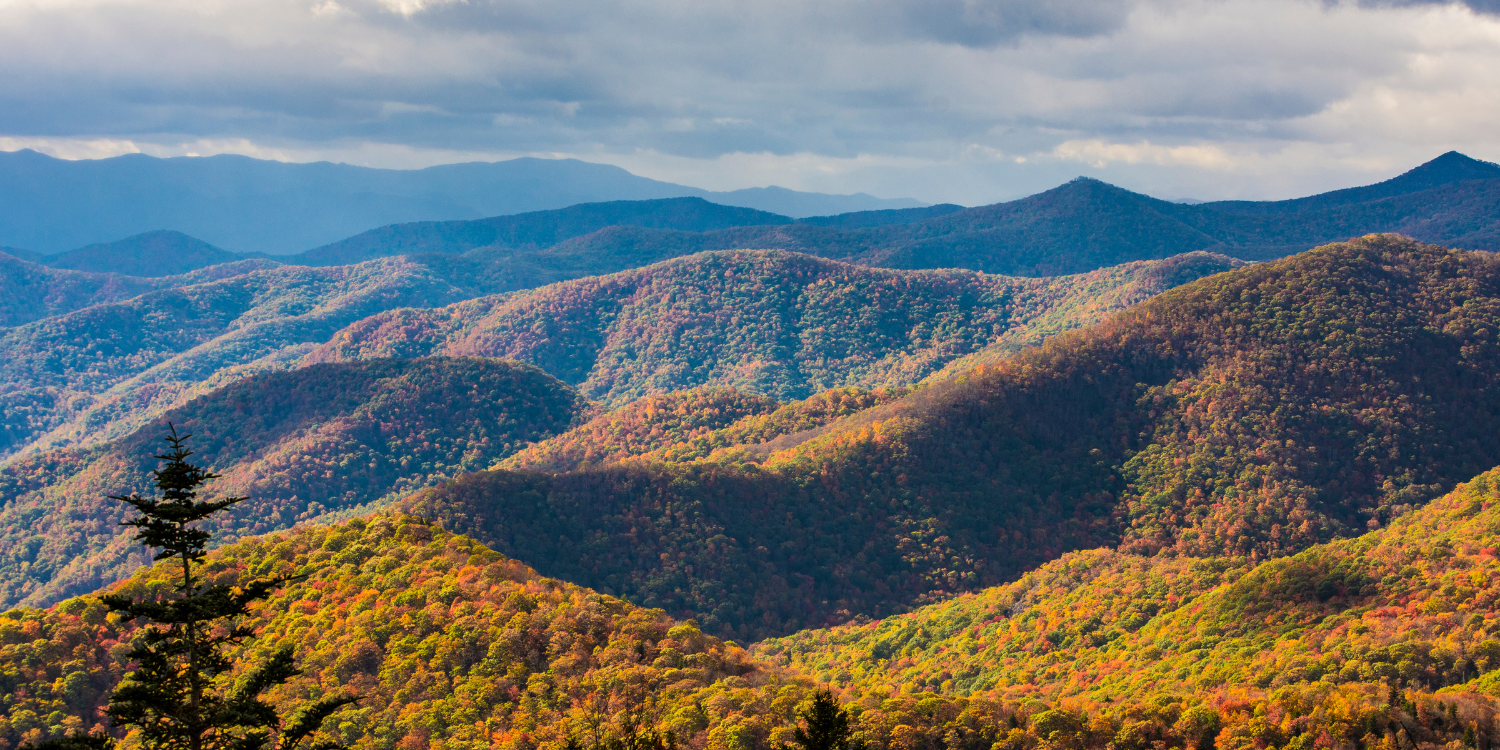 The Best Fall Hikes Near Waynesville, NC Red Leaf River Inn