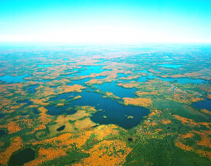 Area Chain of Lakes Redman Realty Group