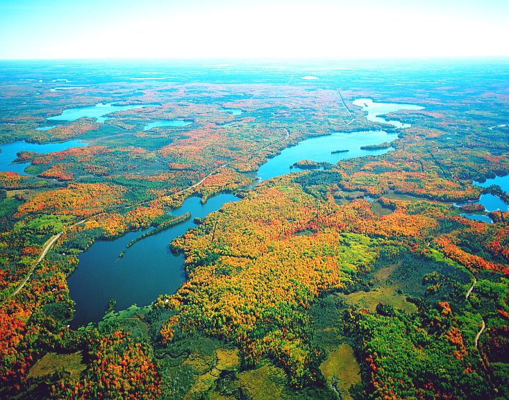 Area Chain of Lakes Redman Realty Group