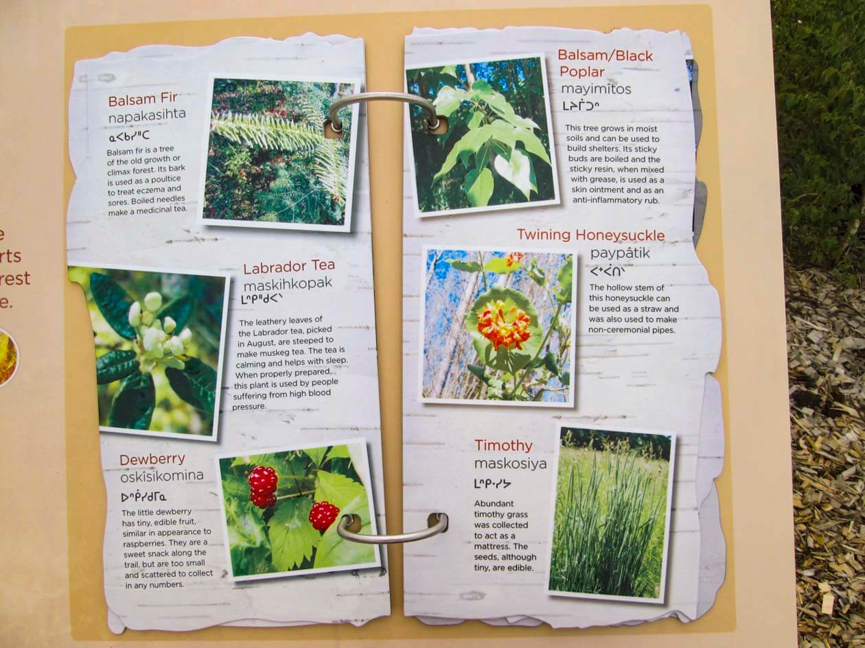 Slave Lake Visitor’s Information Centre Redpoint Creative