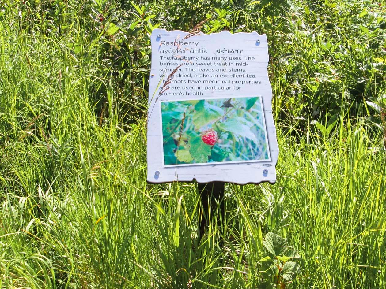 Slave Lake Visitor’s Information Centre Redpoint Creative