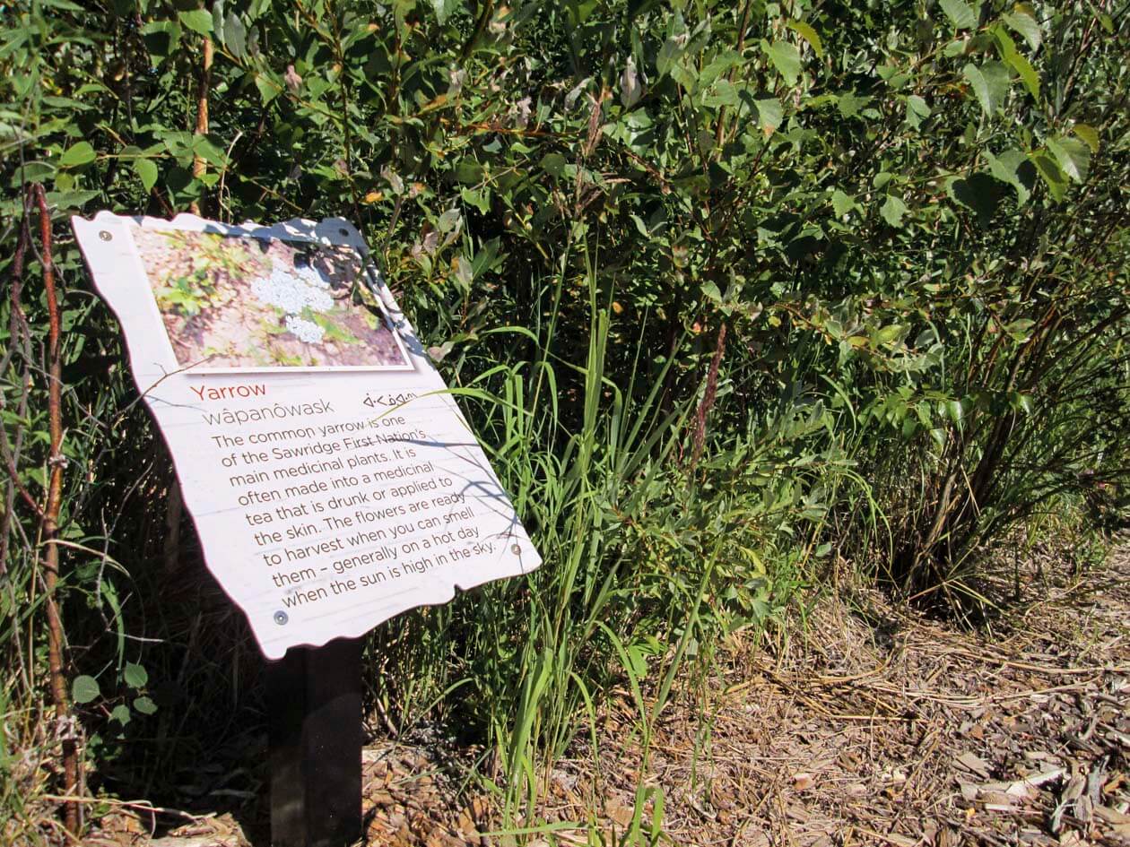 Slave Lake Visitor’s Information Centre Redpoint Creative