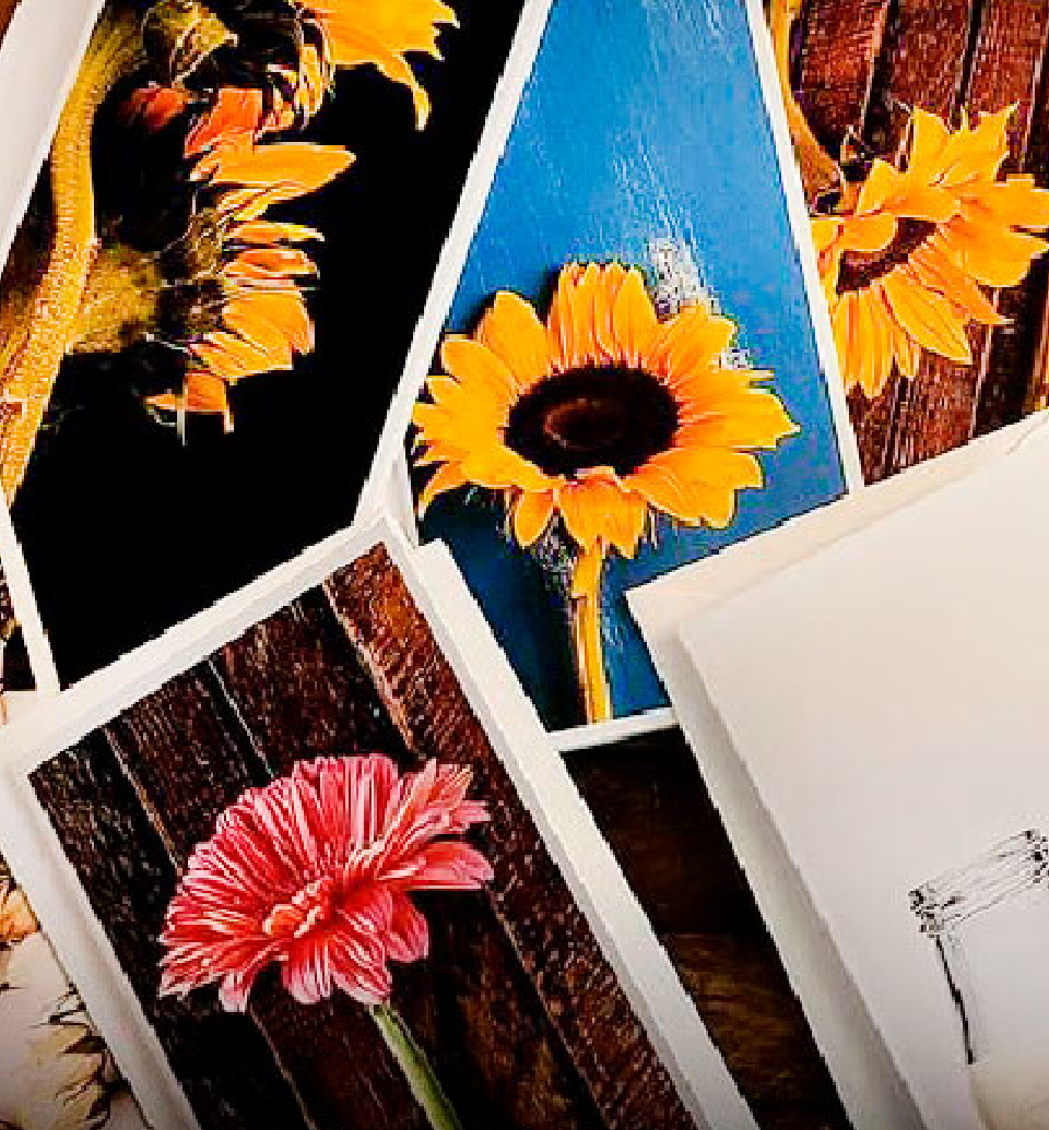 to the Red River Paper Company