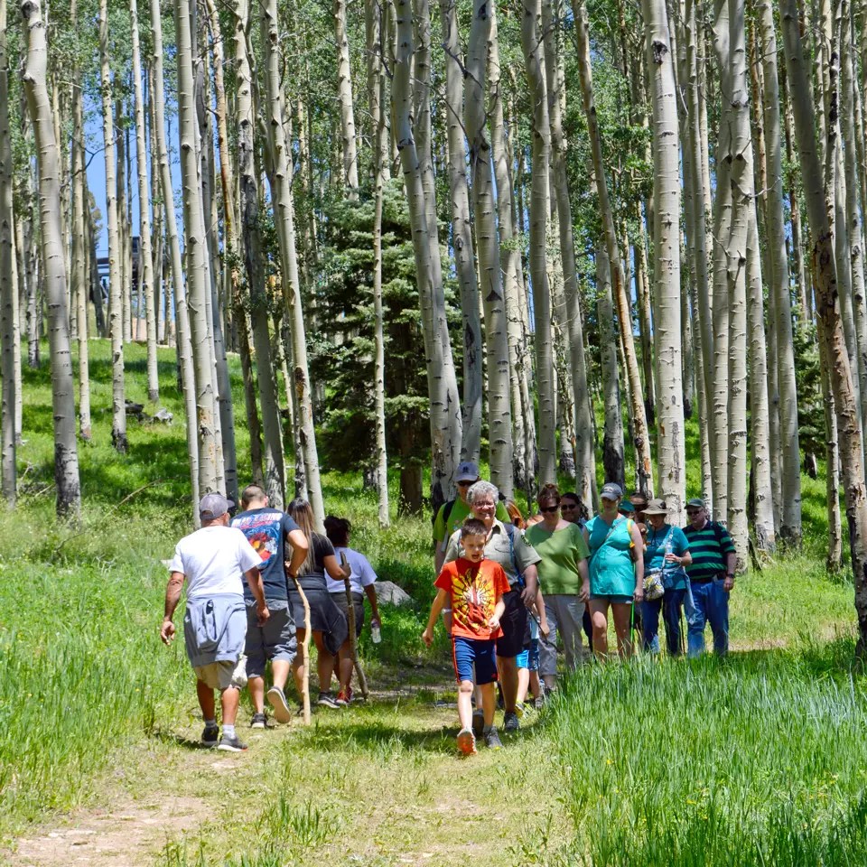Summer in Red River New Mexico