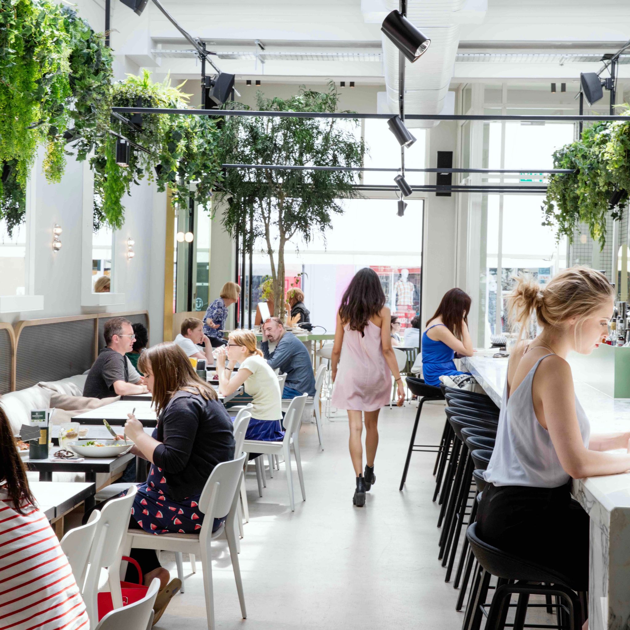 Best Coffee Shop Brighton Brighton Coffee Shop