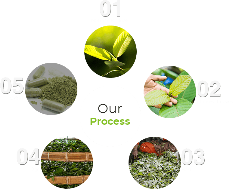 Kratom Crazy Reviews + Coupons [Updated 2020]