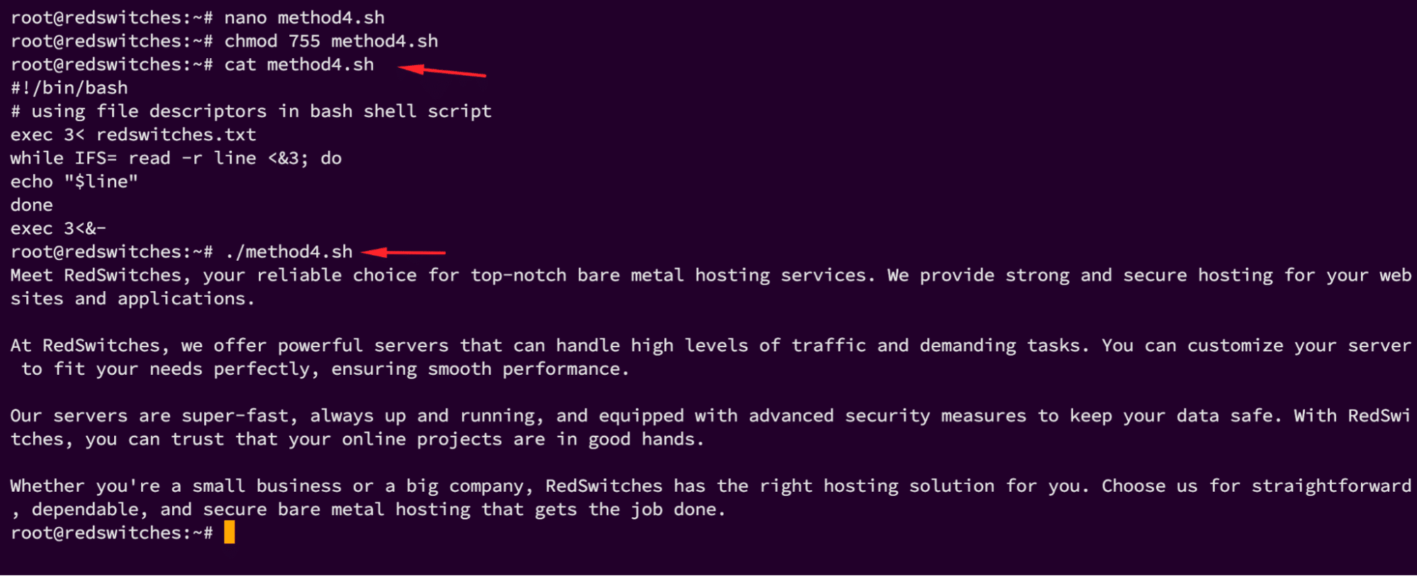 How To Read Files Line By Line In A Bash Script