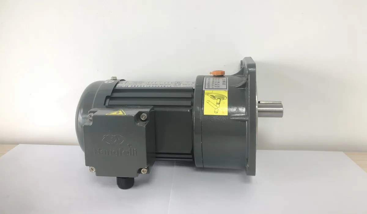 Vertical Electric Reduction Motors Versatile Applications Across