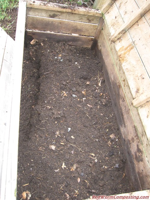 Emptying my Backyard Worm Bin Red Worm Composting