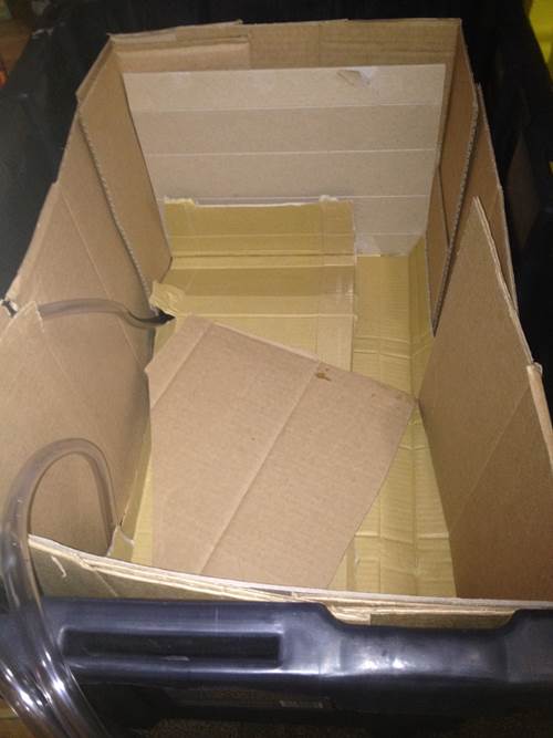 Lorne’s Winter Worm Bin Red Worm Composting