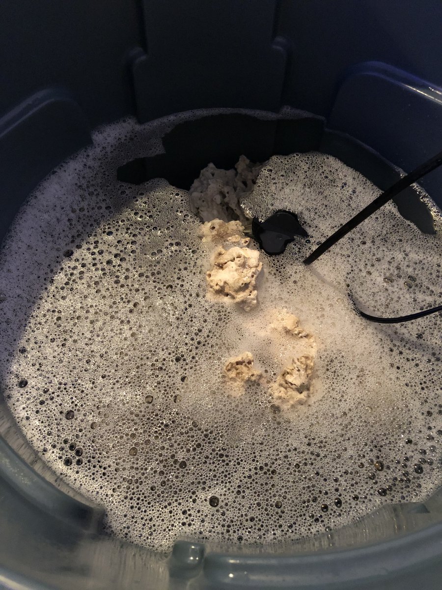 Cleaning rock after bleach cure REEF2REEF Saltwater and Reef Aquarium