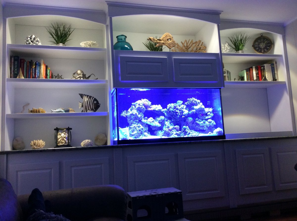 show me your DIY plywood stands Page 5 REEF2REEF Saltwater and Reef